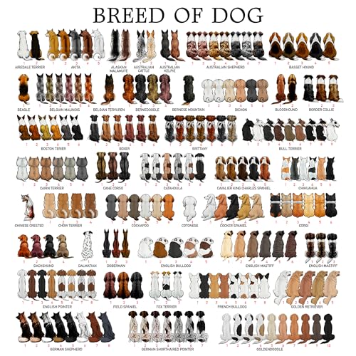 2023 Personalized Family and Pet Christmas Ornament