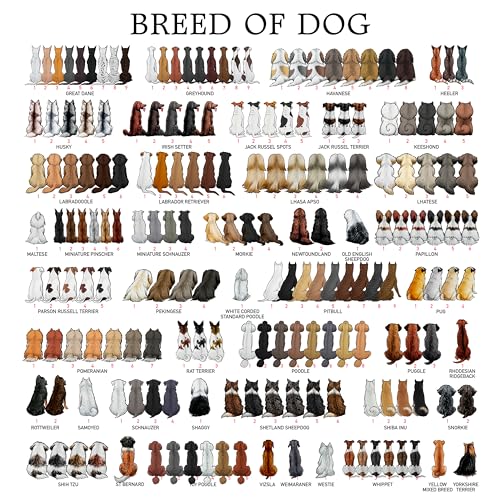 2023 Personalized Family and Pet Christmas Ornament