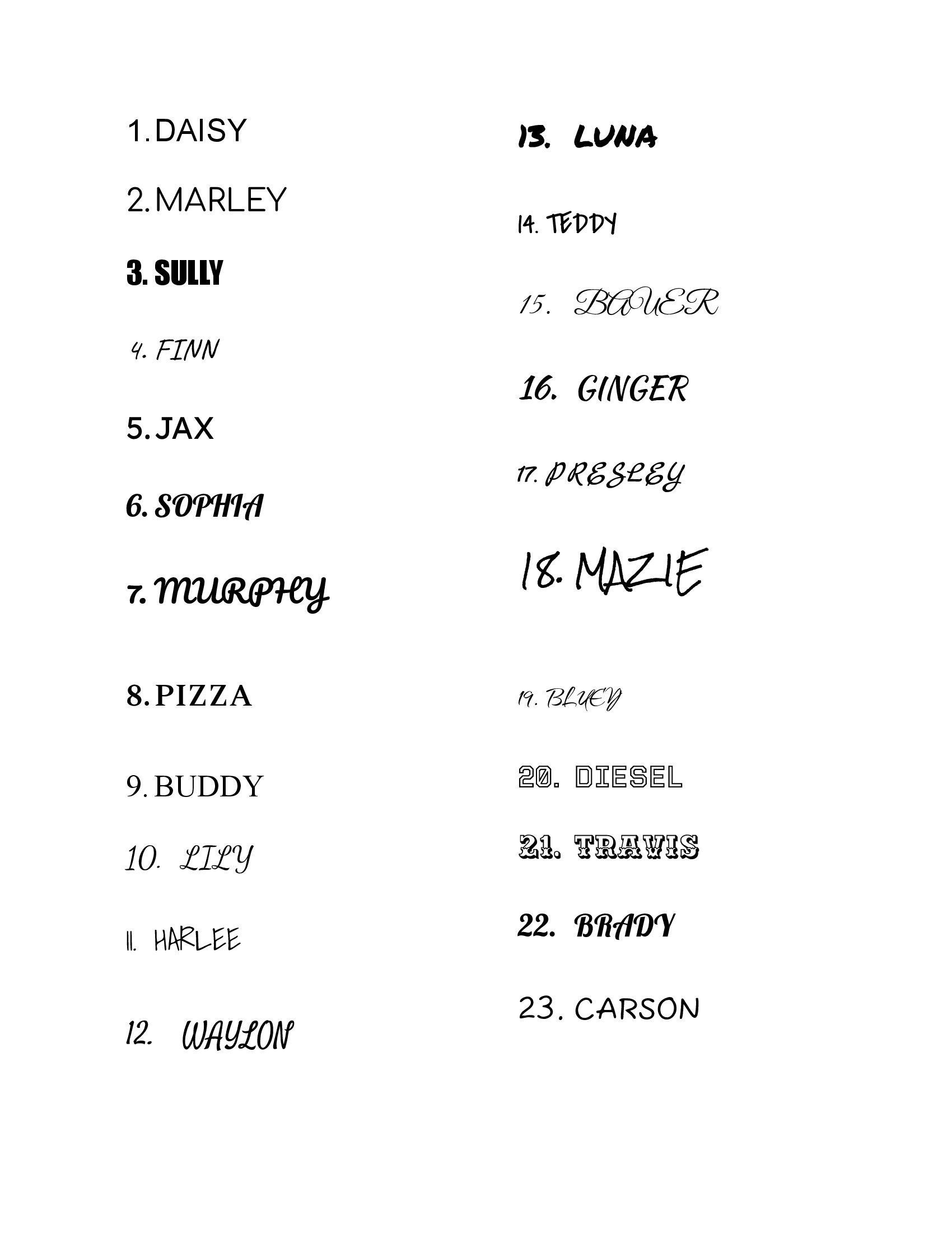 Custom Paw Print Name Blanket for Pets