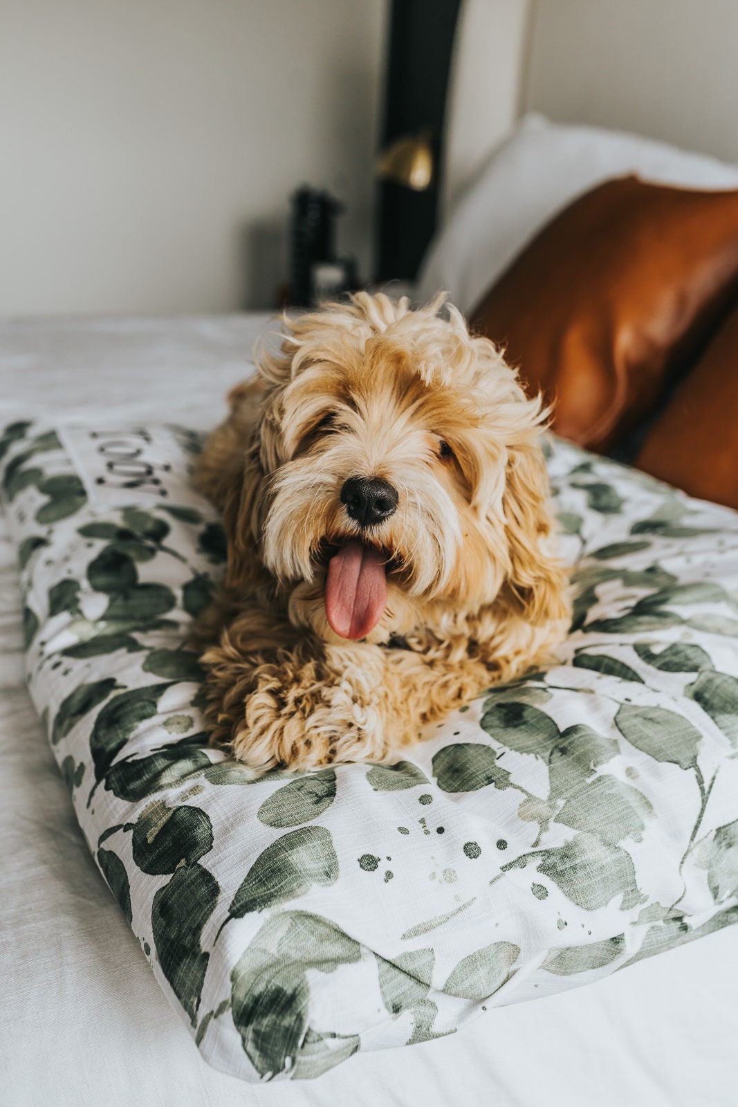 Custom Plant Dog Bed with Washable Cover - Modern Farmhouse Botanical Pillow