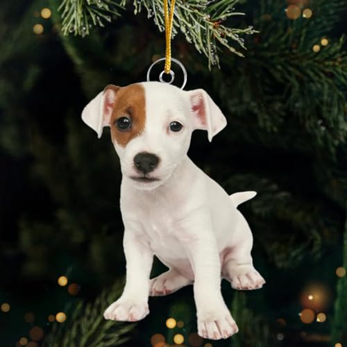 Personalized Pet Photo Christmas Ornaments for 2023