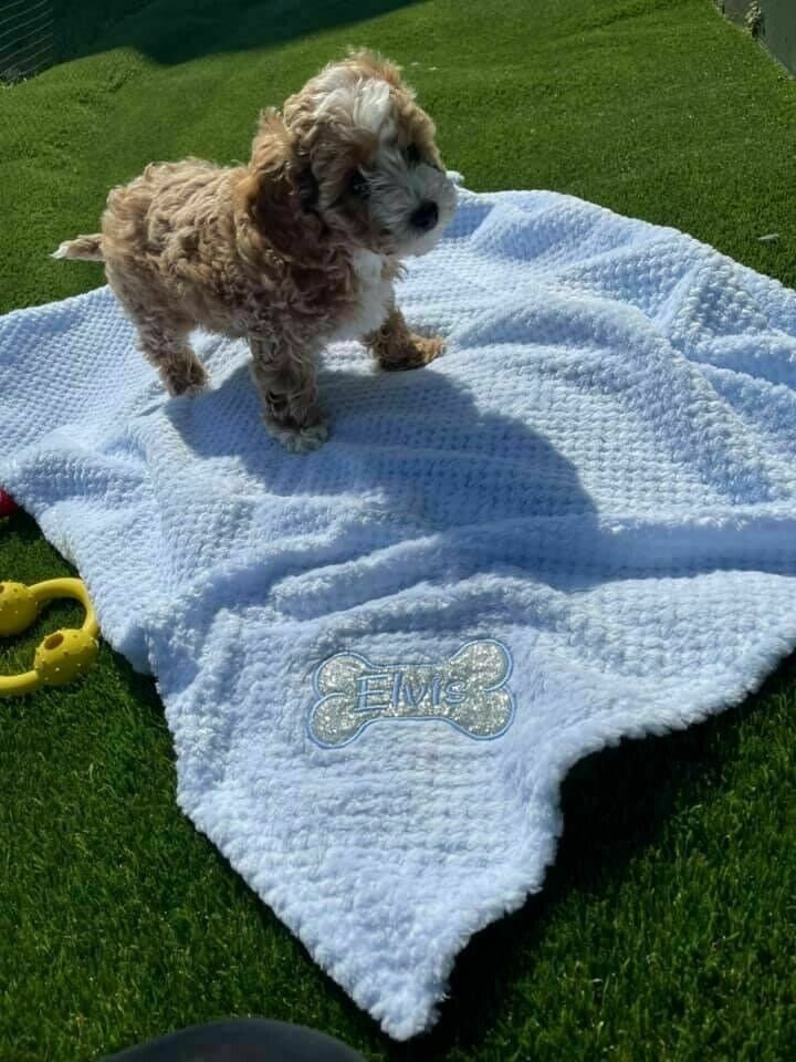 Sparkly Personalized Glitter Bone Blanket for Dogs - 5 Colors