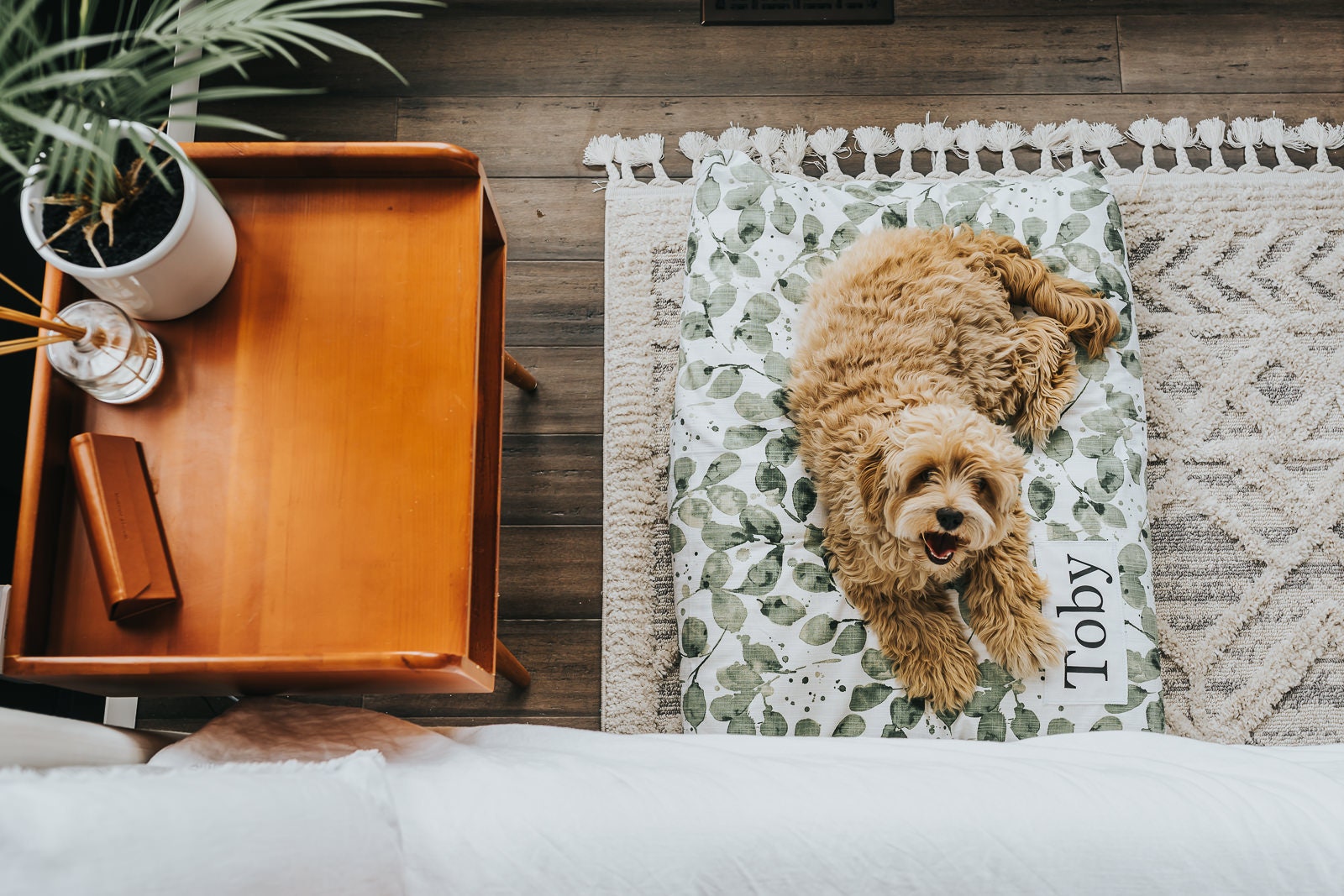 Custom Plant Dog Bed with Washable Cover - Modern Farmhouse Botanical Pillow