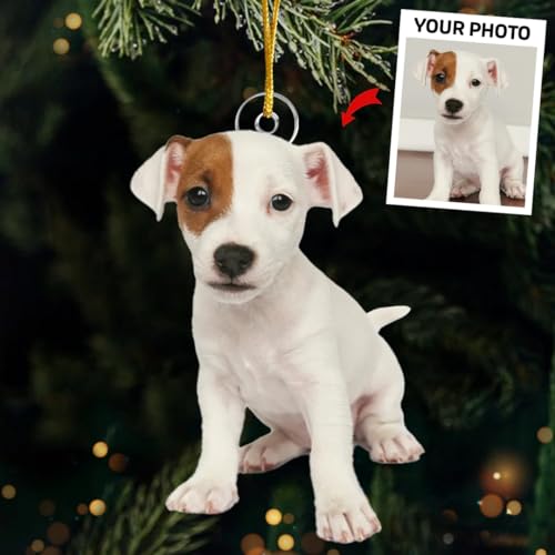Personalized Pet Photo Christmas Ornaments for 2023