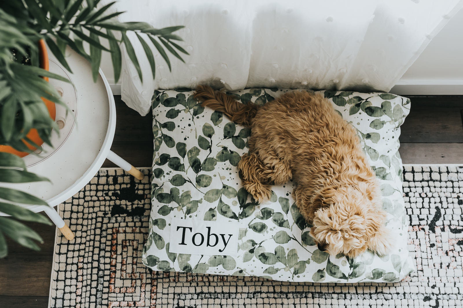 Custom Plant Dog Bed with Washable Cover - Modern Farmhouse Botanical Pillow