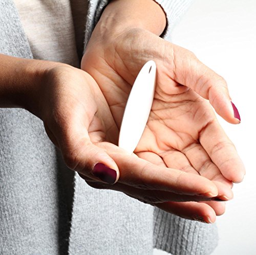 Andaz Press Personalized Pet Memorial Christmas Ornament, Customized