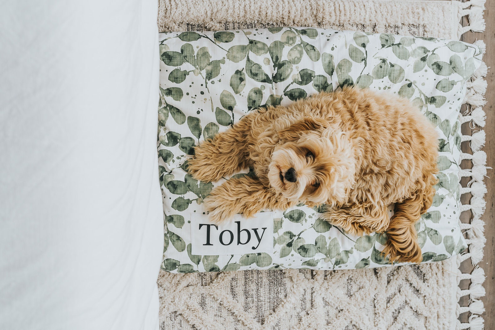 Custom Plant Dog Bed with Washable Cover - Modern Farmhouse Botanical Pillow