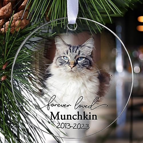 Customized Cat Memorial Ornament - Touber Keepsake Gift