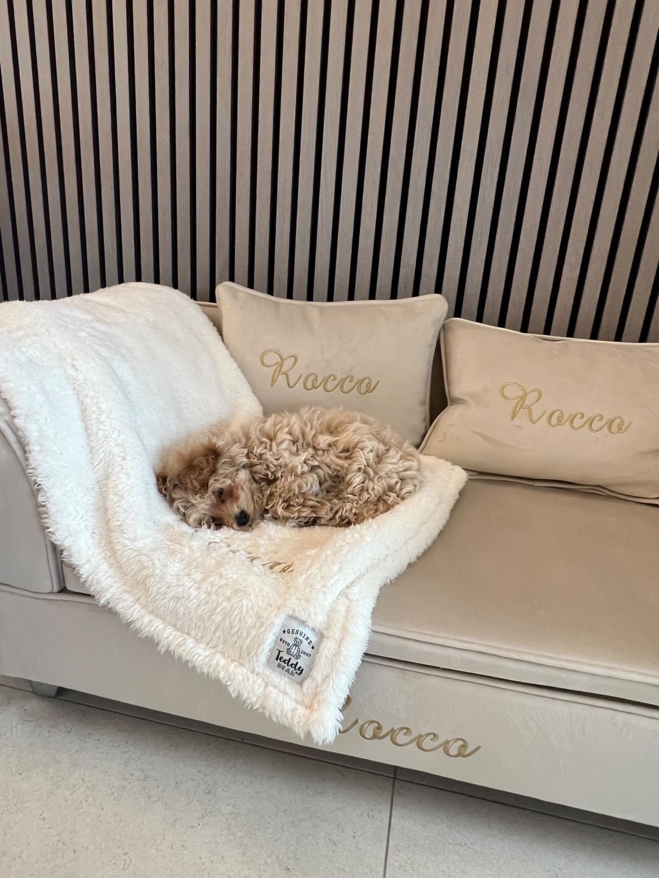 Customized dog couch