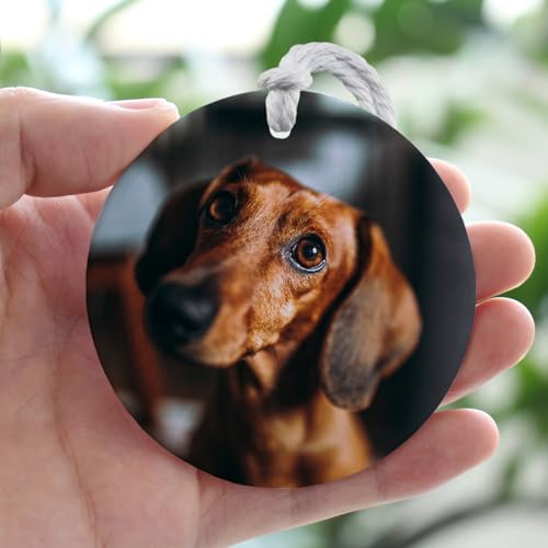 Custom Pet Memorial Ornament with Personalized Photo