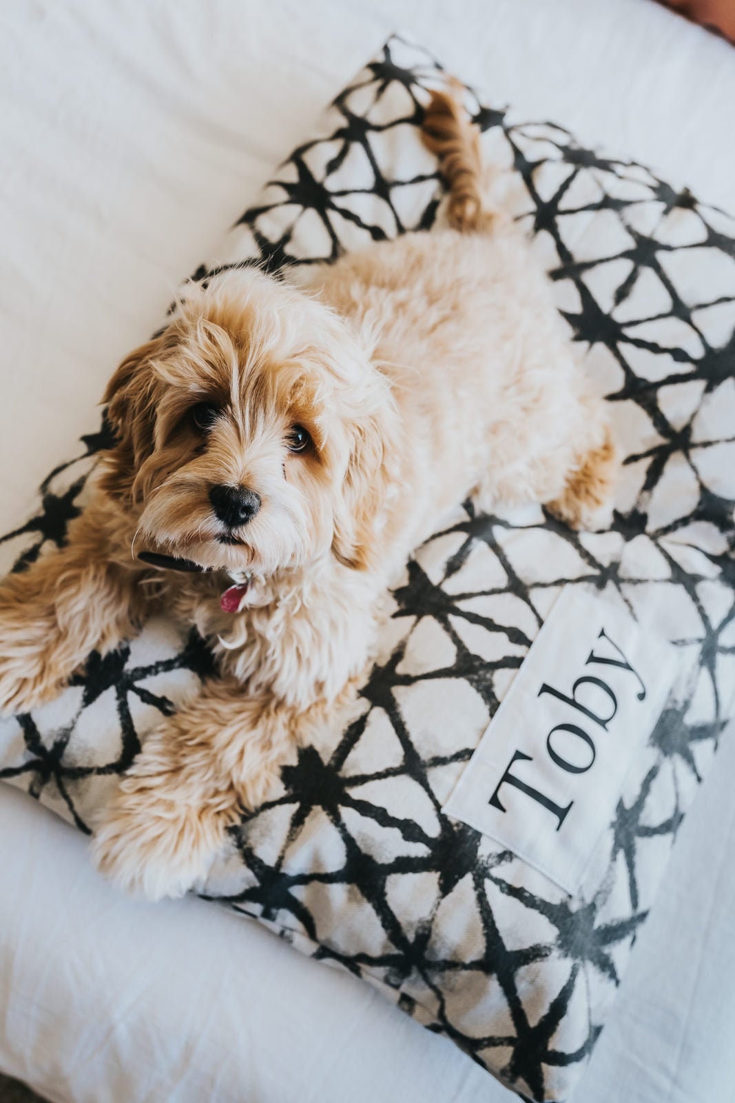 Boho Farmhouse Custom Dog Bed with Washable Cover