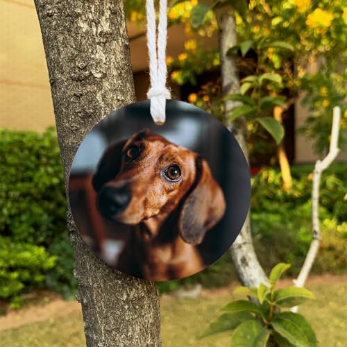 Custom Pet Memorial Ornament with Personalized Photo
