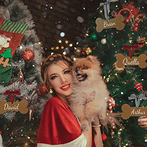 Personalized Dog Bone Christmas Ornament DIY Craft Kit