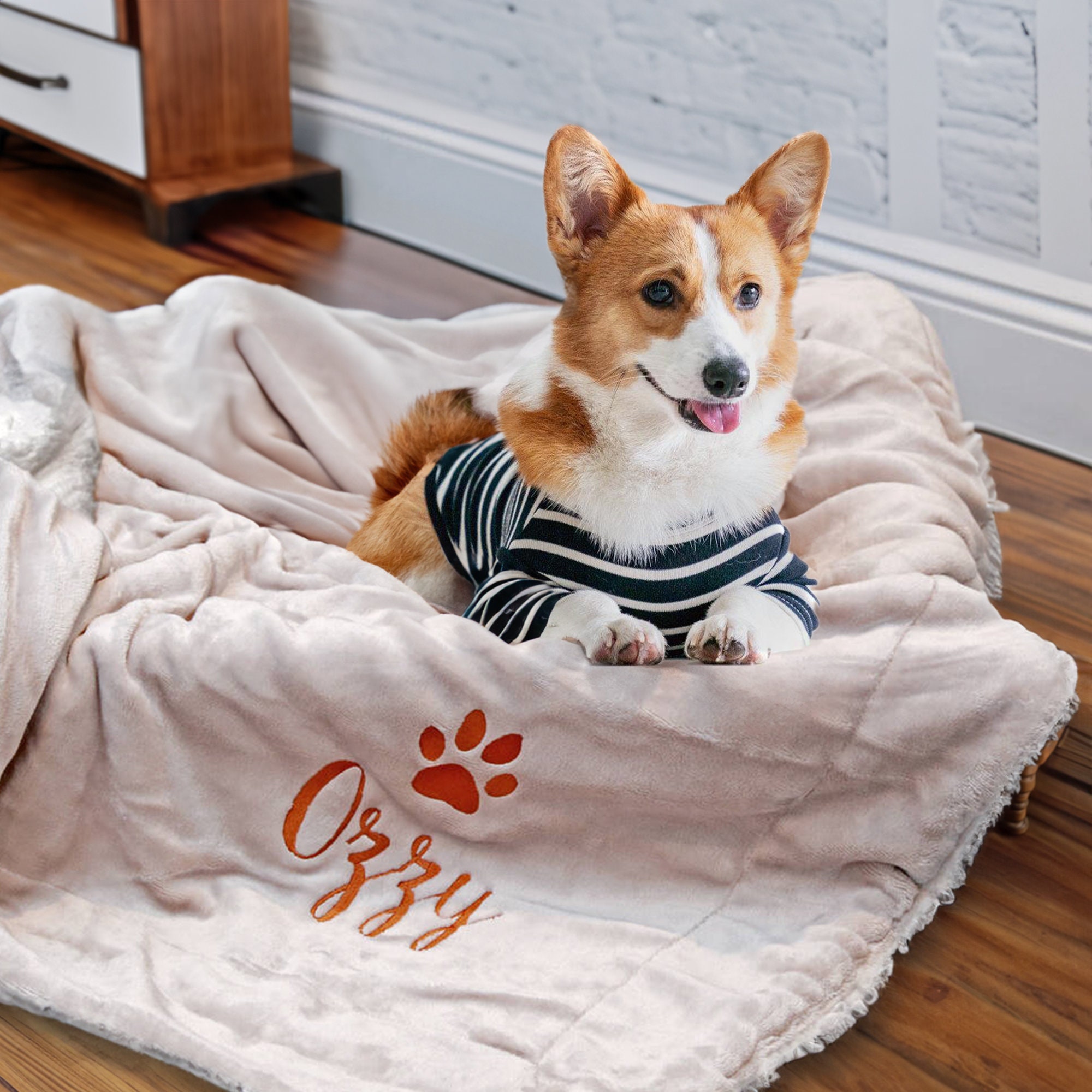 Embroidered Thick Fleece Dog Name Paw Print Blanket