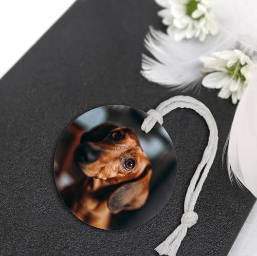 Custom Pet Memorial Ornament with Personalized Photo