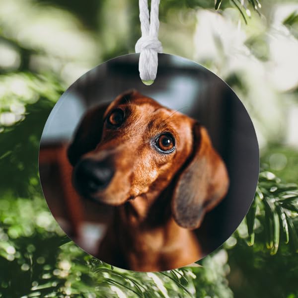 Custom Pet Memorial Ornament with Personalized Photo