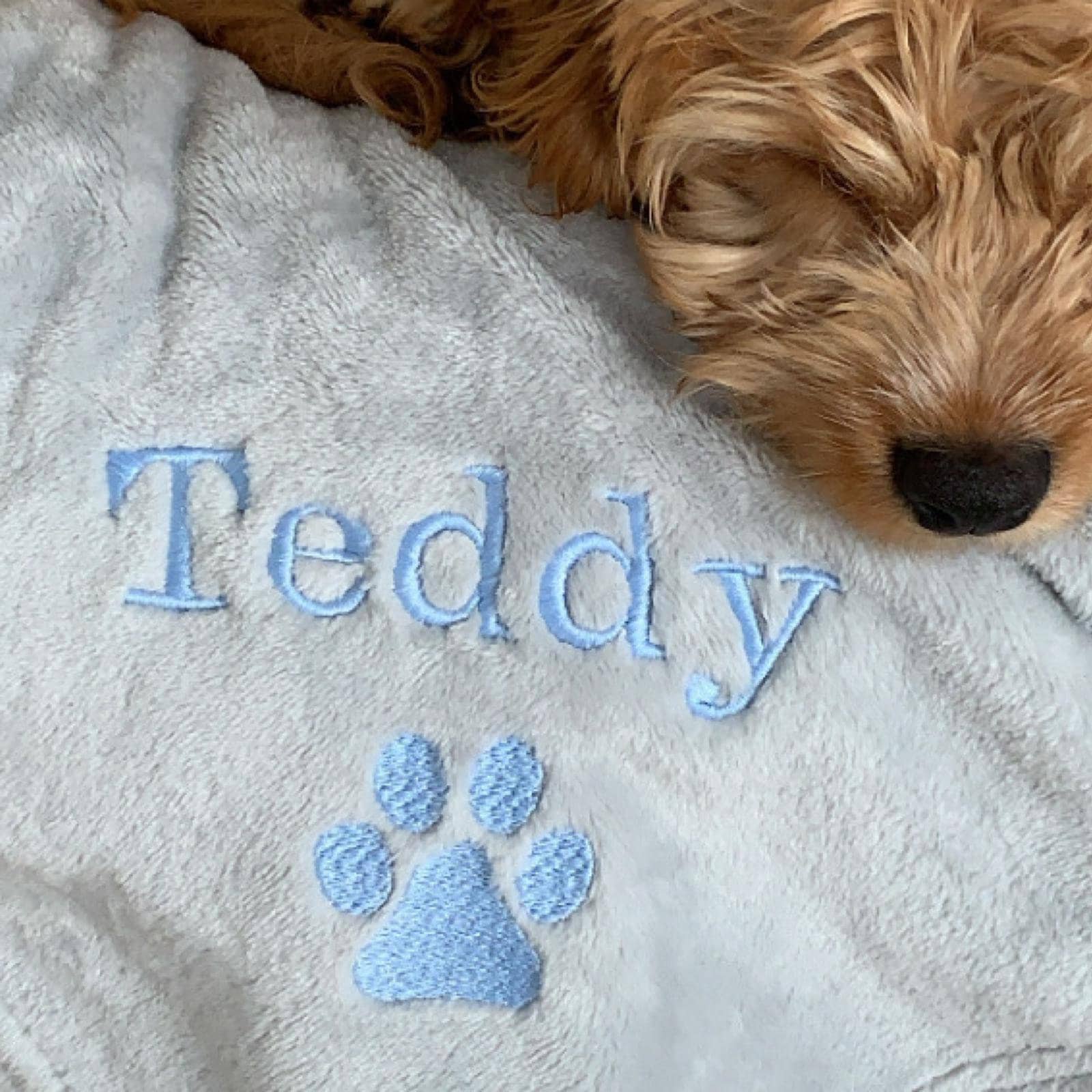 Custom embroidered pet blanket with paw print and name