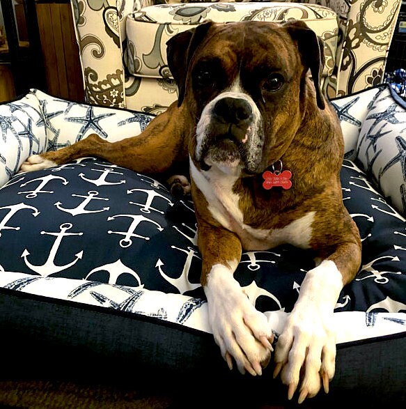 Navy Nautical Dog Bed with Personalized Customization