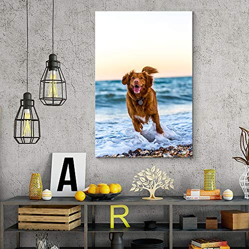 NWT Personalized Pictures to Canvas for Wall, Custom Canvas Prints with Your Photos for Pet/Animal, Framed 10x8 inches