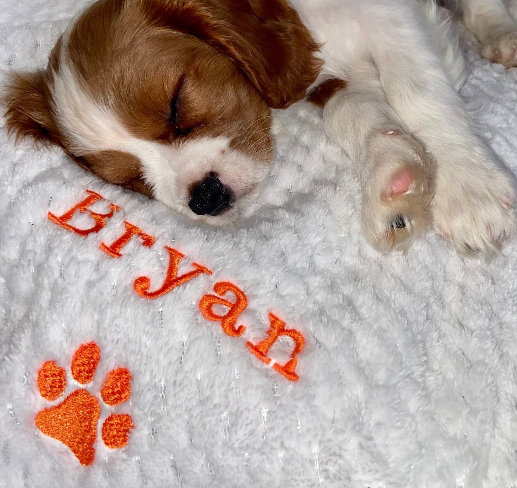 Custom embroidered pet blanket with paw print and name