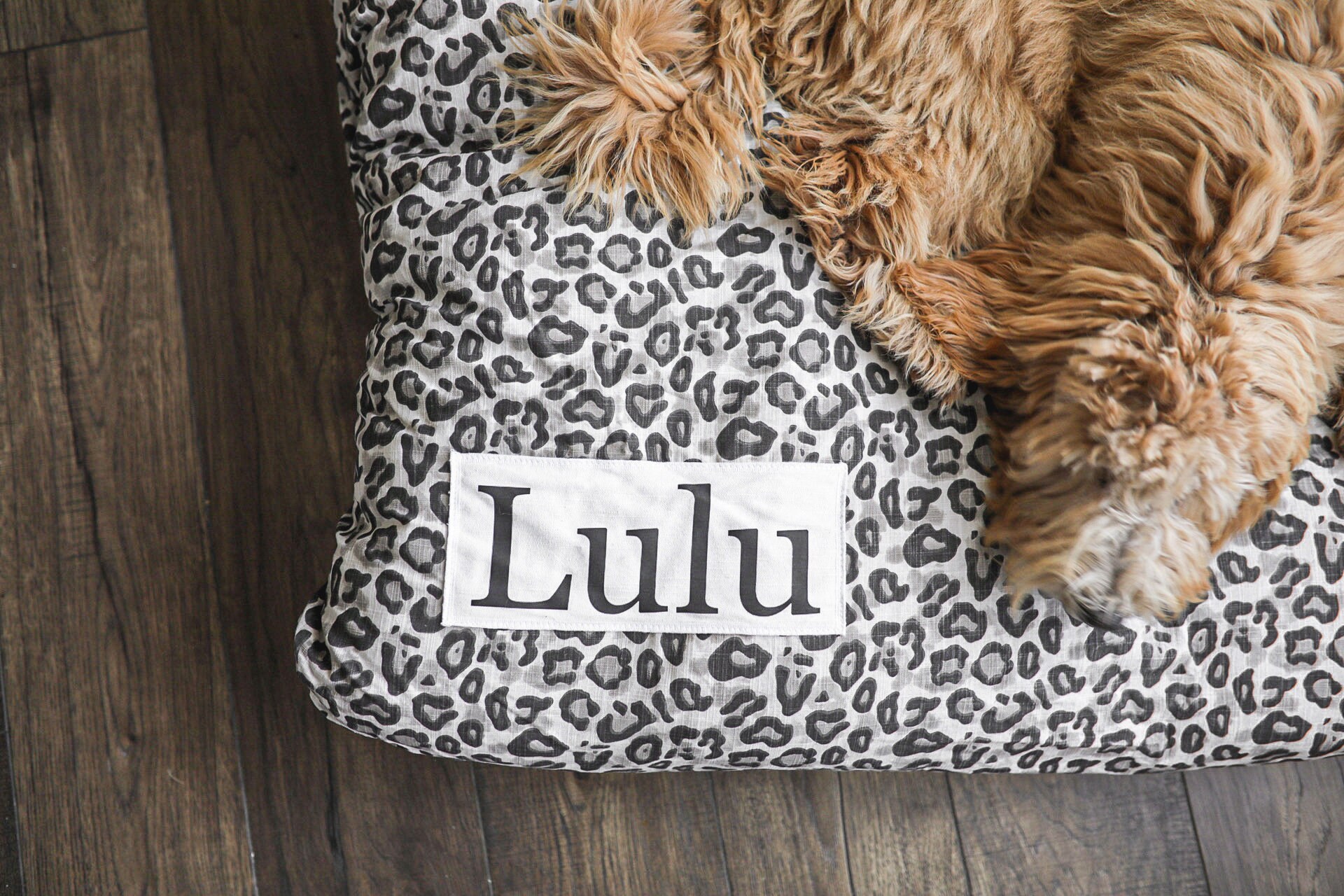 Leopard Print Personalized Washable Dog Bed Cover - ALL SIZES