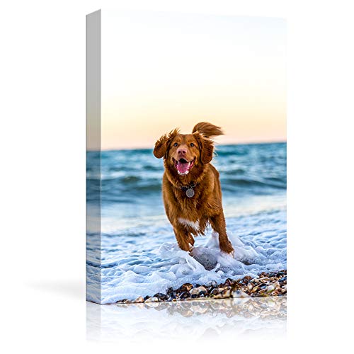 NWT Personalized Pictures to Canvas for Wall, Custom Canvas Prints with Your Photos for Pet/Animal, Framed 10x8 inches