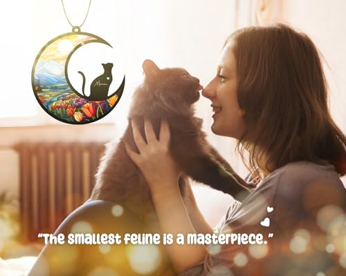 Personalized Cat Memorial Suncatcher & Paw Keychain Set