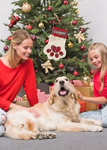 Custom Pet Name Christmas Stocking with Paw Embroidery