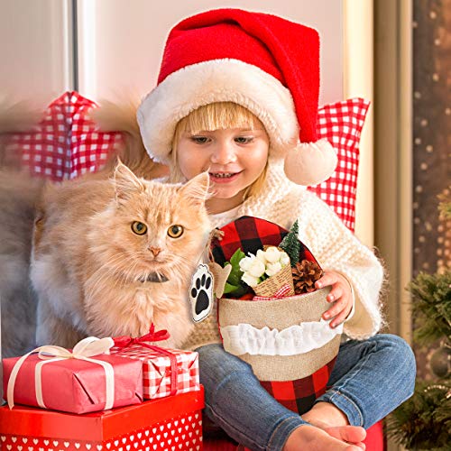 Personalized Cat Christmas Stockings - Set of 2