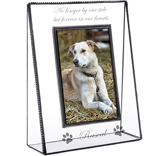 Pet Picture Frame Personalized Memorial for Dog Lover Engraved Glass Photo Frame J Devlin Pic 319-46V EP534 (4x6 vertical)