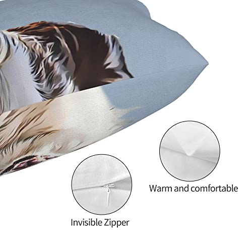 Custom Pet Photo Pillow Cover, Personalized Cat & Dog Pillowcase, 14" x 20" Pet Throw Pillow Case with Photo Name, Two-Sides Printed Cushion Covers, Customized Gifts for Pet Lovers, Pet Memorial Gifts
