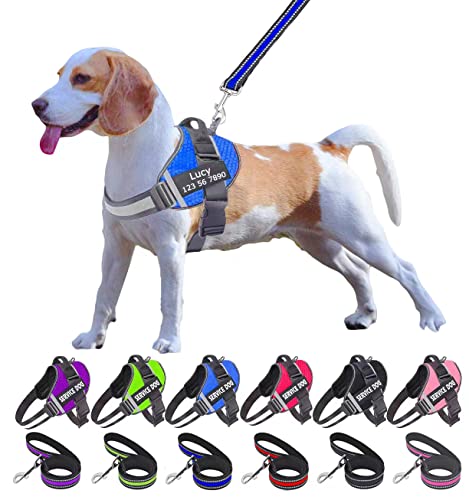 Harnesses