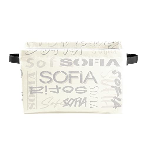 ZAACUSTOM Personalized Storage Bins with Name Custom Kids Storage Basket Cubes Organizer with Handles for Organizing Boys and Girls Toys Shelf Closet Nursery Baskets Boxes, 1 Pack