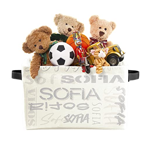 ZAACUSTOM Personalized Storage Bins with Name Custom Kids Storage Basket Cubes Organizer with Handles for Organizing Boys and Girls Toys Shelf Closet Nursery Baskets Boxes, 1 Pack