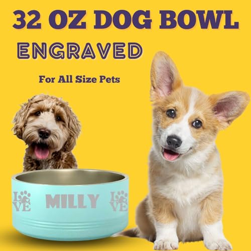 Personalized Laser Engraved Stainless Steel Pet Bowl, 32oz