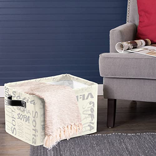 ZAACUSTOM Personalized Storage Bins with Name Custom Kids Storage Basket Cubes Organizer with Handles for Organizing Boys and Girls Toys Shelf Closet Nursery Baskets Boxes, 1 Pack