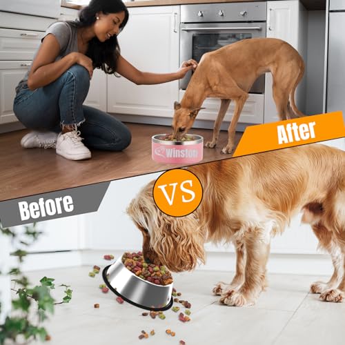 Personalized Stainless Steel Pet Food and Water Bowls