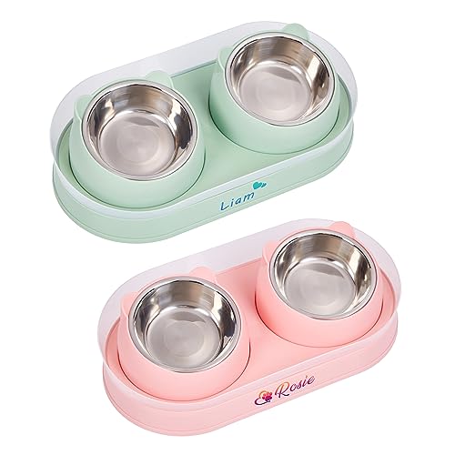 Personalized Cat Bowl Double Elevated Pet Dishes for Kitties Small Dog Food and Water Bowls Anti-Leak 15°Tilted Washable Stainless Steel
