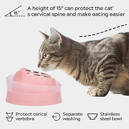 Personalized Cat Bowl Double Elevated Pet Dishes for Kitties Small Dog Food and Water Bowls Anti-Leak 15°Tilted Washable Stainless Steel
