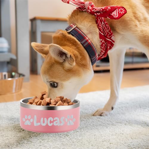 Personalized Stainless Steel Pet Food and Water Bowls