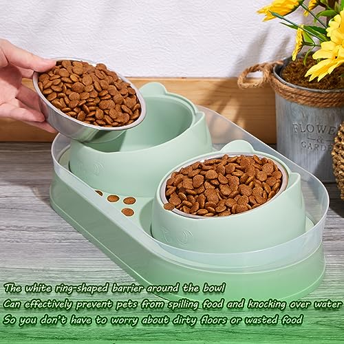 Personalized Cat Bowl Double Elevated Pet Dishes for Kitties Small Dog Food and Water Bowls Anti-Leak 15°Tilted Washable Stainless Steel