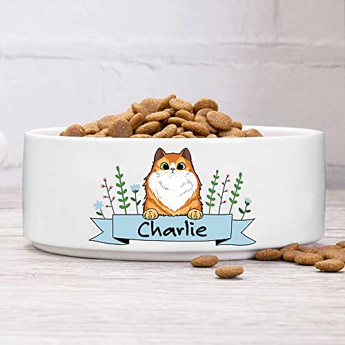 Custom Cat Bowls with Name & Breed Designs