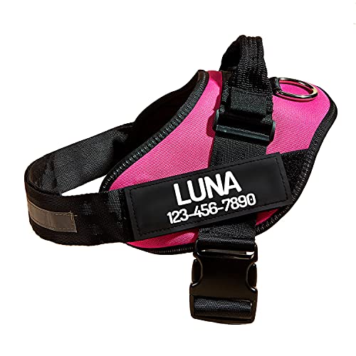 Custom Name and Number No-Pull Dog Harness, Heavy-Duty