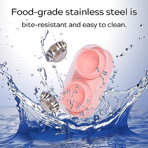 Personalized Cat Bowl Double Elevated Pet Dishes for Kitties Small Dog Food and Water Bowls Anti-Leak 15°Tilted Washable Stainless Steel
