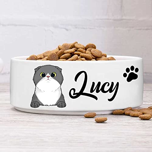Custom Cat Bowls with Name & Breed Designs