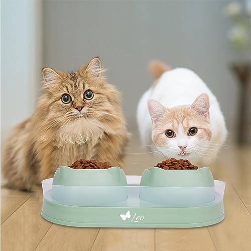 Personalized Cat Bowl Double Elevated Pet Dishes for Kitties Small Dog Food and Water Bowls Anti-Leak 15°Tilted Washable Stainless Steel
