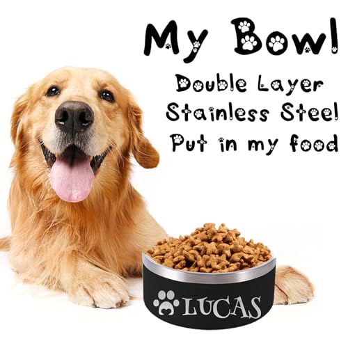 Custom Laser Engraved Personalized Stainless Steel Pet Bowl