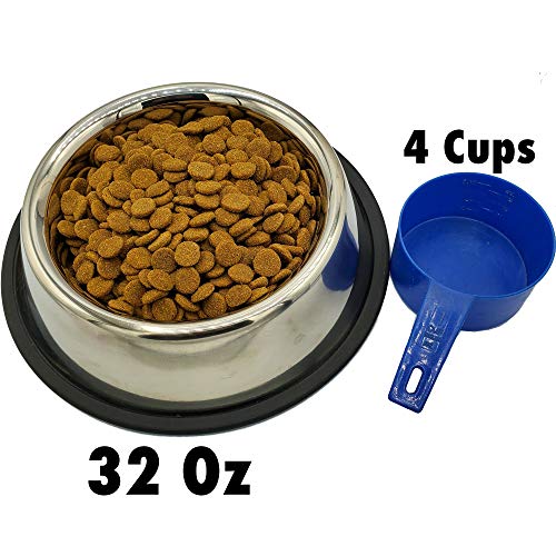 Jeyfel Decals: Personalized Stainless Steel Pet Bowl Set. Dog, Cat. 32 OZ. (4 Cups) (Orange)