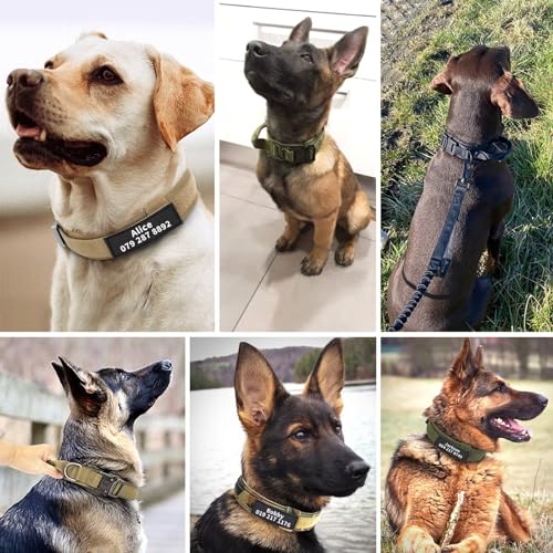 Forestpaw Custom Military Dog Collar with Nameplate, Camouflage