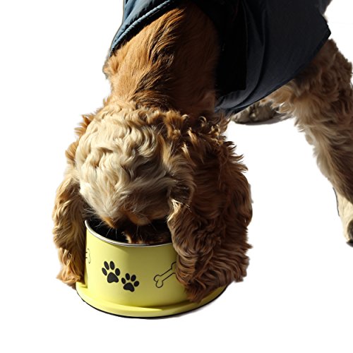 Ergonomic Personalized Spaniel Bowl for Long Ear Dog